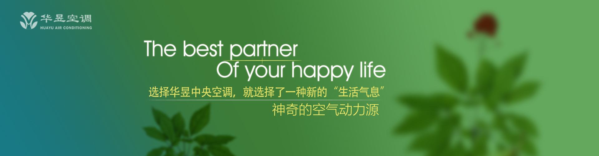 贫贱不移网